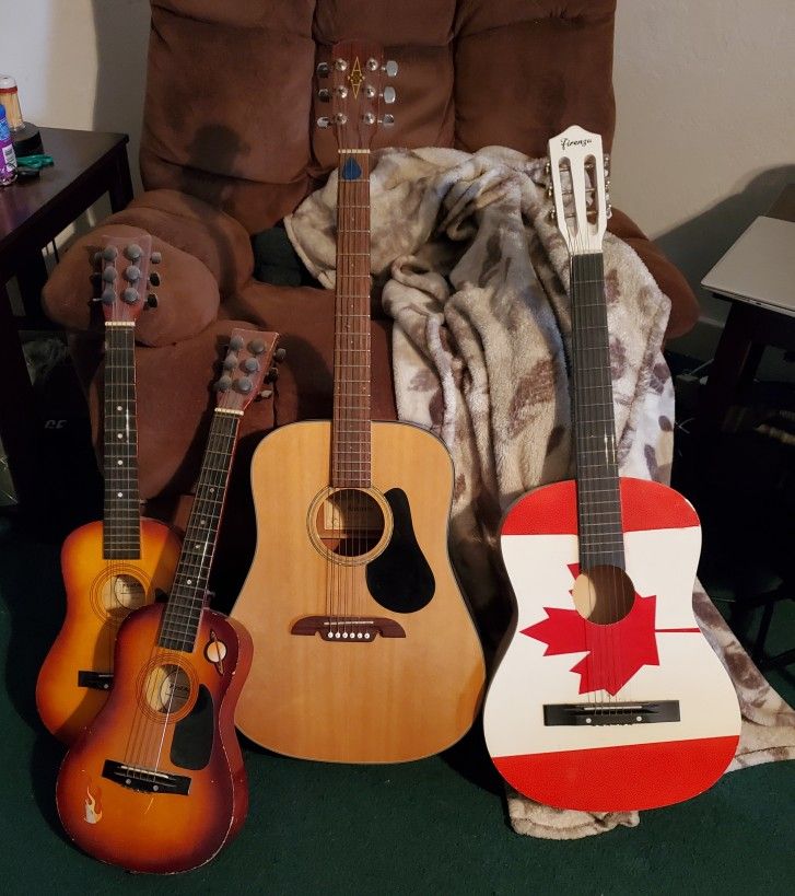 Acoustic Guitars 