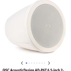 AcousticDesign AD-P6T Pendant Speaker