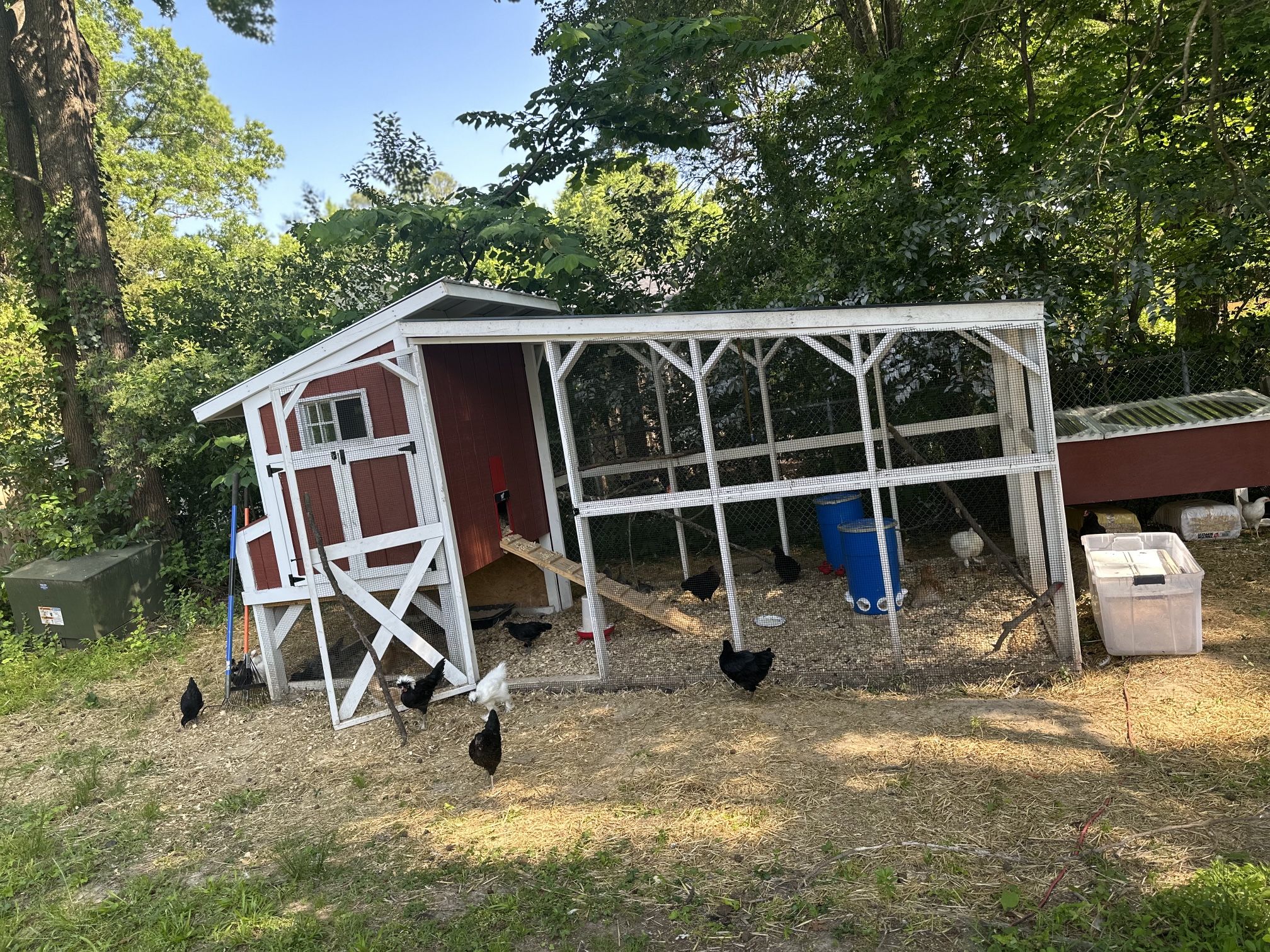 Custom Chicken Coop