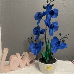 Orquídeas 