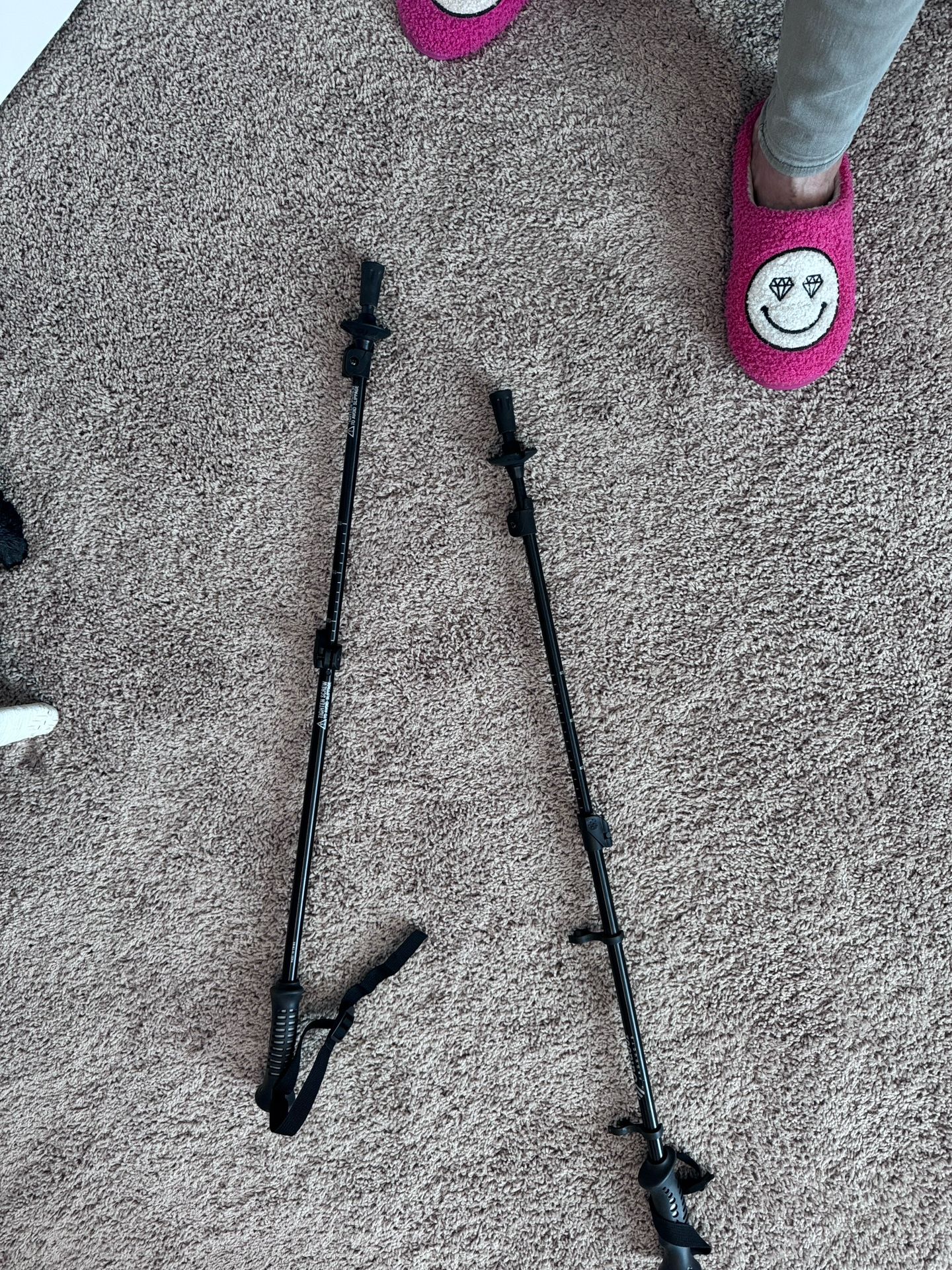 Hiking - Walking Sticks (2)