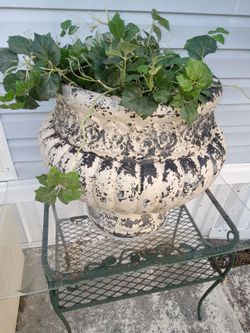 Plant Pot