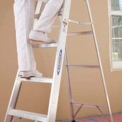 
WERNER 6 ft. Aluminum Step Ladder with 250 lb. Load Capacity Type I Duty Rating