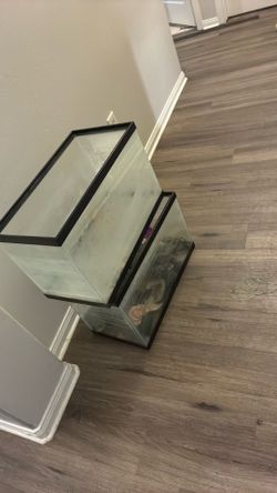 10 gallon fish tanks