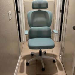 Ergonomic Office Chair 