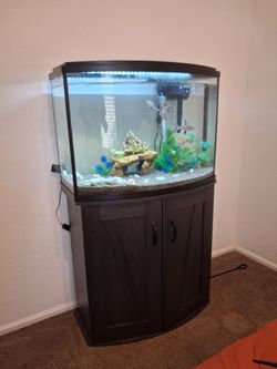 35 Gal Fish Tank and Stand