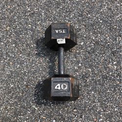 1-40lb Cast Iron Dumbbell