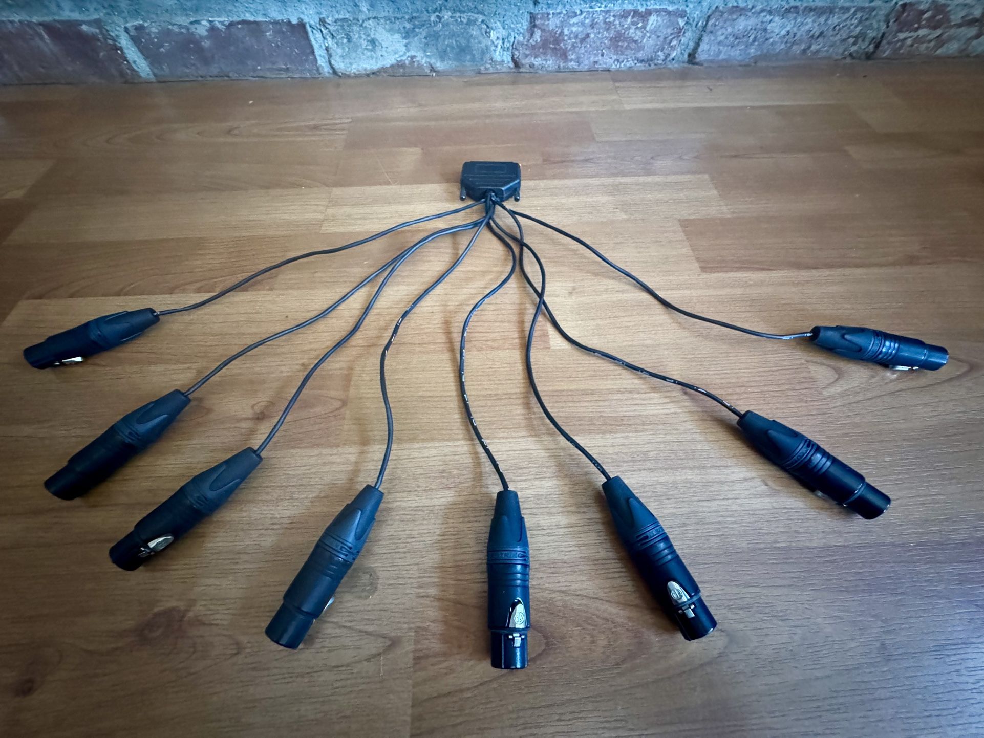 Shorty Analog Pro Audio LA DB25 to Mic-Female XLR Snake Cable | Made from Mogami 2932 & Neutrik