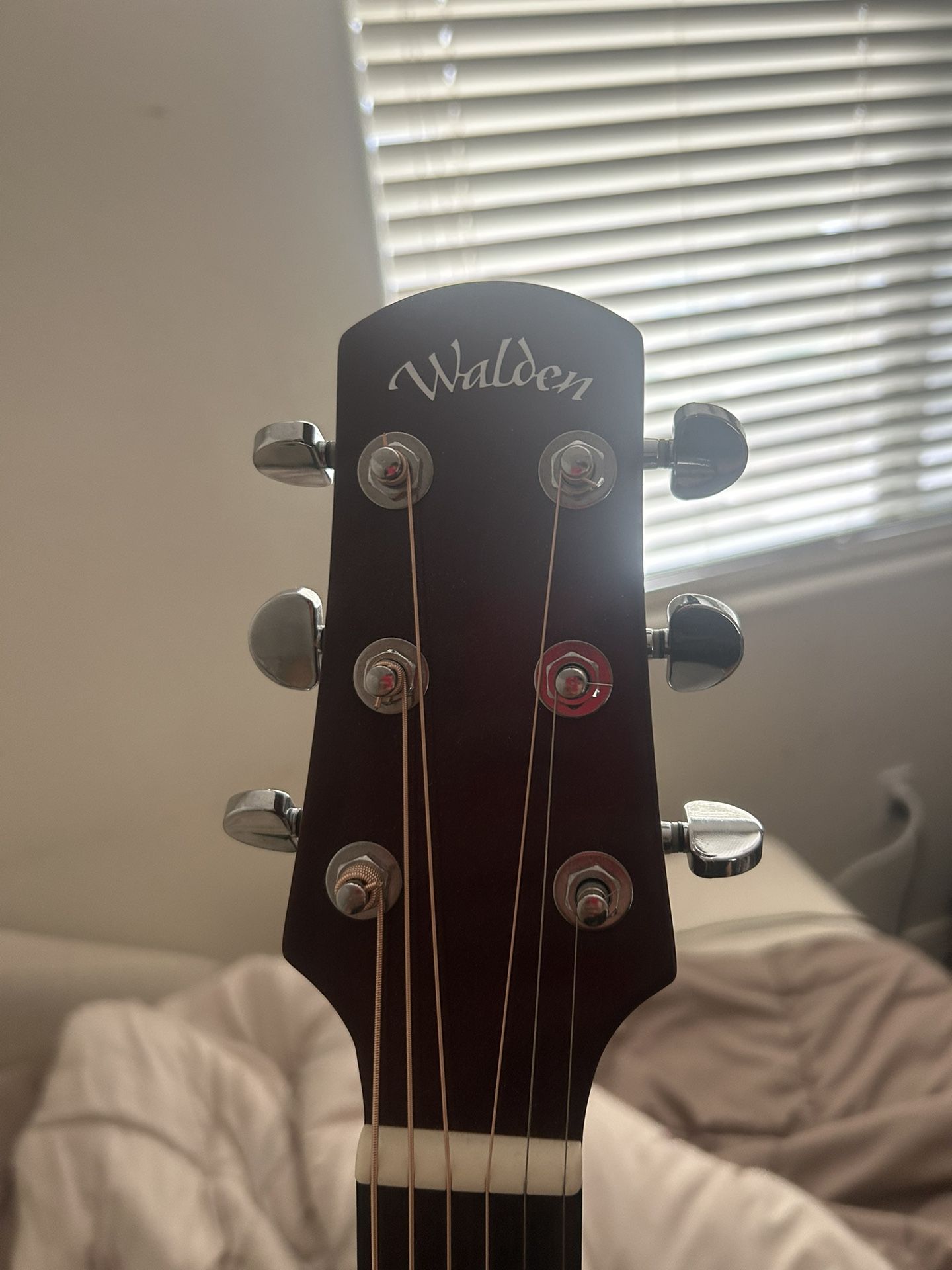 Acoustic Electric Guitar
