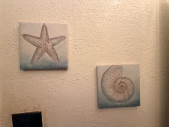 Seashell decor
