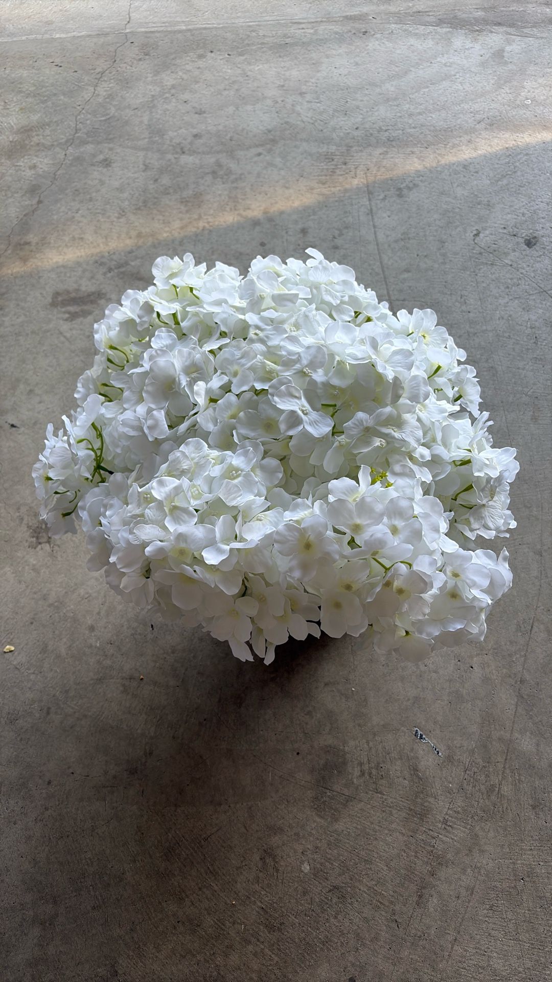 Hydrangeas