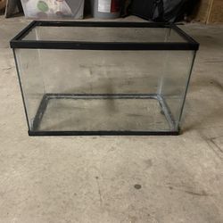 5 Gallon Fish Tank