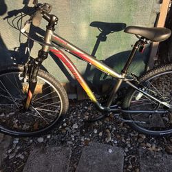 Specialized Bike 24