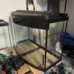36gallon front bow aquarium
