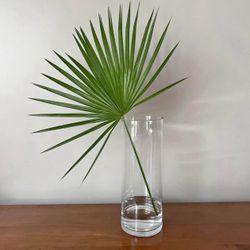 16” x 6” Glass Cylinder Vases (14 Total) 