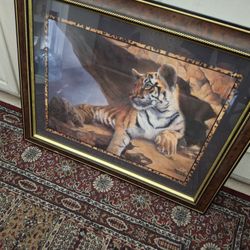 Tigers Pictures
