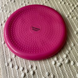 Therapists Choice Stability Balance Disk 