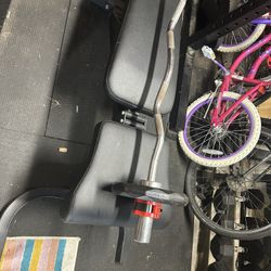 Olympic Ez Curl Bar 