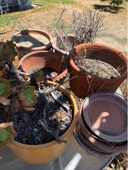 Pots! Pots!