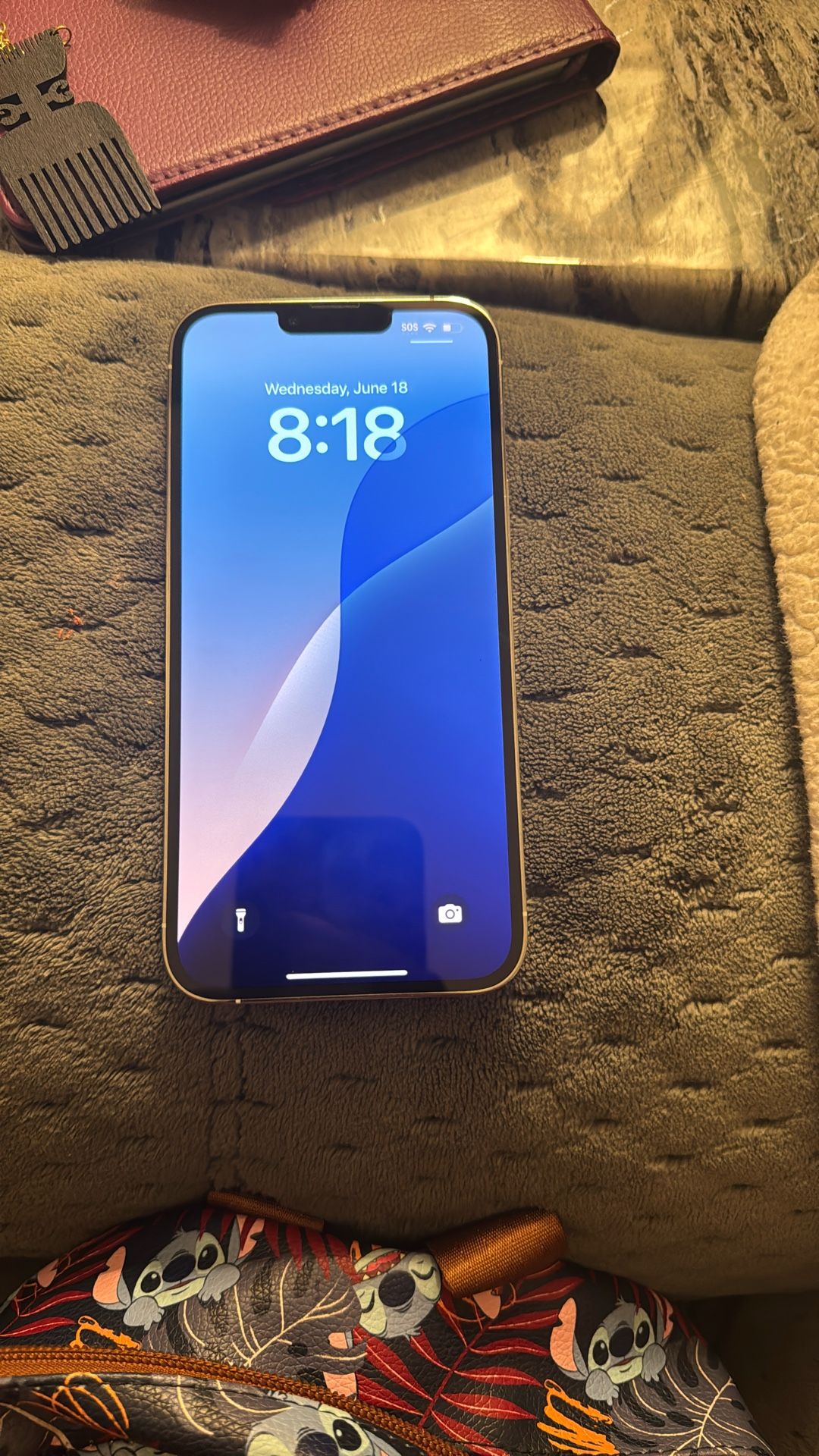 Unlocked iPhone 13 Pro Max