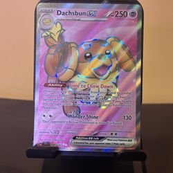 Dachsbun ex 160/142 Full Art Double Rare Pokemon Stellar Crown