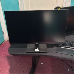 LG Gaming Monitor