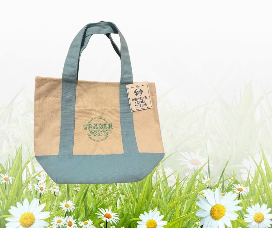 Trader Joe’s Spring Mini Tote Blue