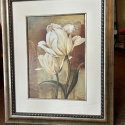 Beautiful Large Tulip Picture 