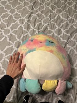 Big Squishmallow