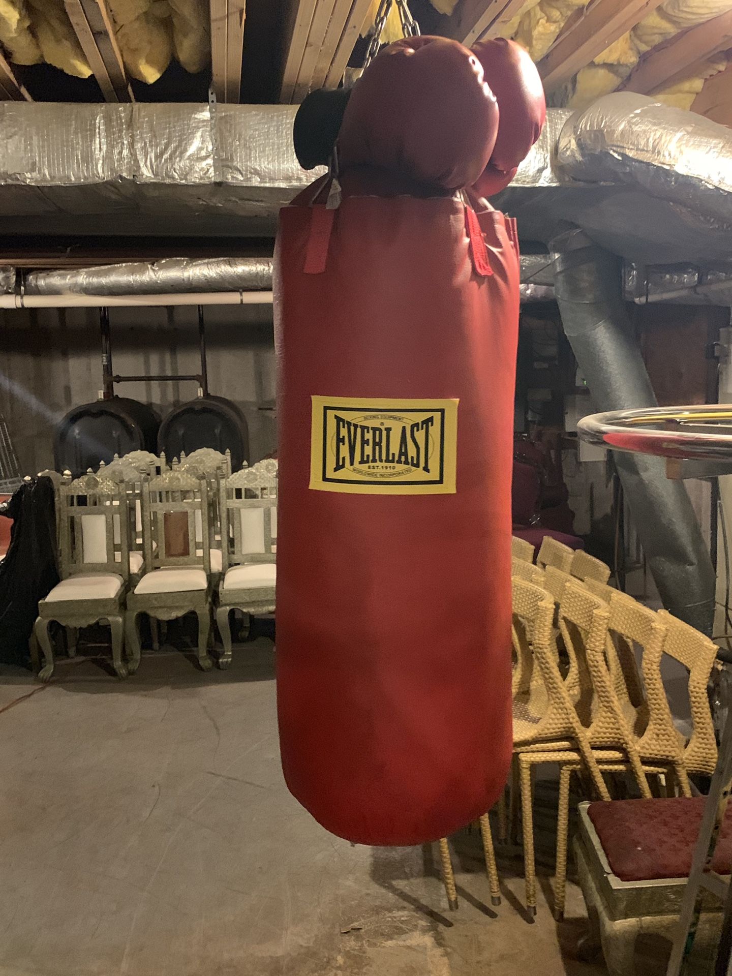 Punching bag with gloves