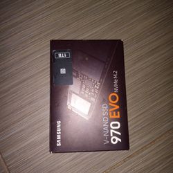 Samsung 970 EVO or 970 EVO Plus NVMe M.2 SSD. 