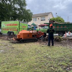 Stump Grinding 