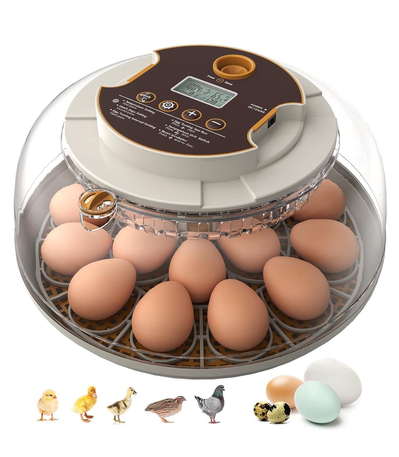 Incubators for Hatching Eggs,18 Egg Incubator with Automatic Egg