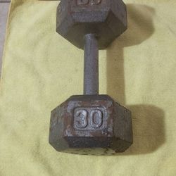 30lb Dumbbell Weight 