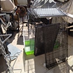 Kennels Dog   And Small Animal 