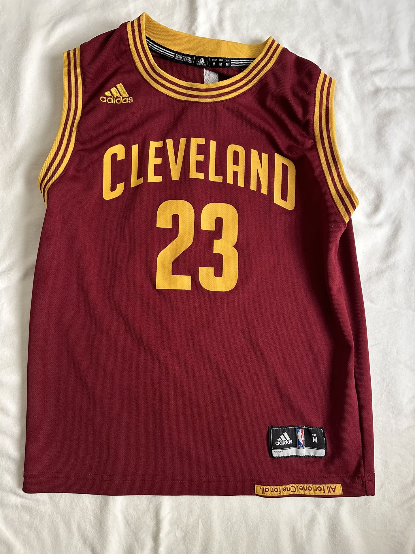 Adidas Cavaliers James 23 Youth Jersey