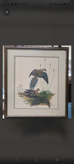 Vintage Ray Harm Signed & Framed Print - "Mourning Dove" (1970)