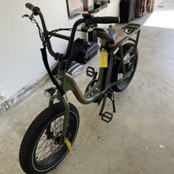 Radrunner Electric Utility bike 