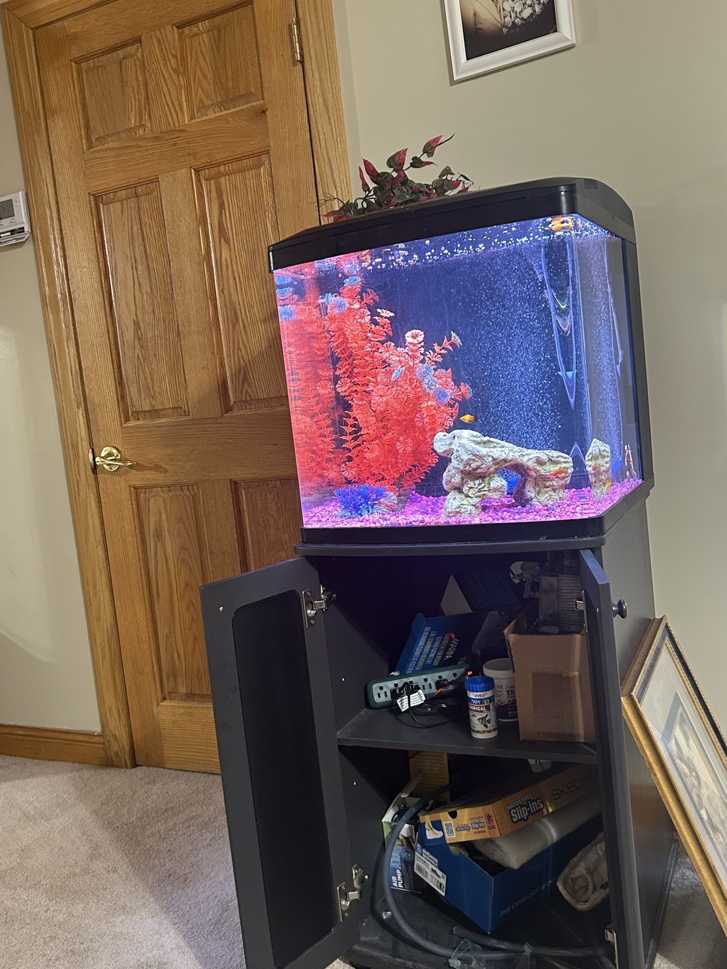 Fish tank with stand and everything included even the fish,All Products : American Fashion Style Bags On Sale