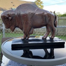 The Classic Brown Buffalo