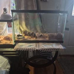 Reptile Aquarium Habitat 