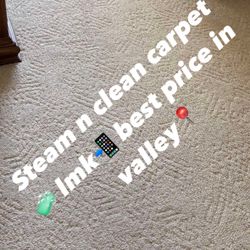 Steam N Clean Carpet 