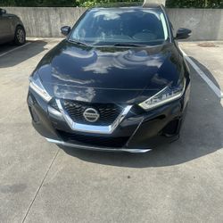 2019 Nissan Maxima