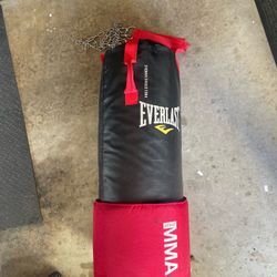 Everlast MMA Heavy Bag - Free 