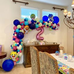 Balloon Garland Decoration
