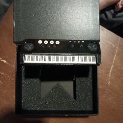 Worlds Smallest Piano