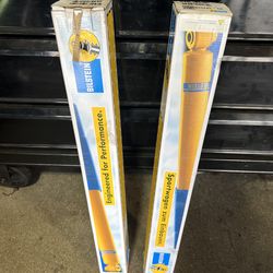Bilstein 33-187228 rear shocks