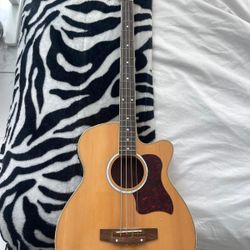 BC Acoustic Bass