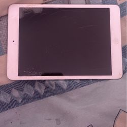 iPad Mini