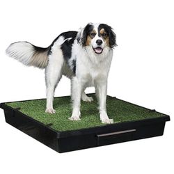 Large Portable Indoor/Outdoor Dog Bathroom 